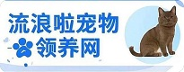 全国宠物领养中心，流浪啦宠物领养网-