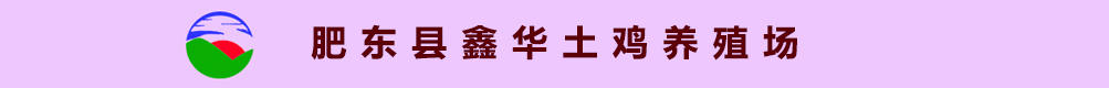 首页-肥东县鑫华土鸡养殖场