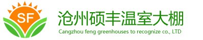 温室大棚厂家_暖棚_蔬菜棚-沧州硕丰温室大棚有限公司