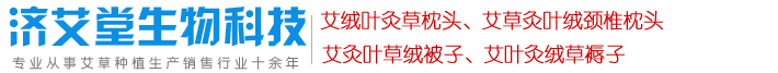艾绒叶灸草枕头-艾绒叶灸草枕头-艾草灸叶绒颈椎枕头-艾灸叶草绒被子-艾叶草灸绒褥子-济艾堂