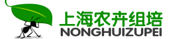 组培设备_组培实验室设计方案_组培室仪器设备全套价格_植物光照组培养架-上海农卉生物科技有限公司