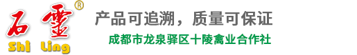 成都市龙泉驿区十陵禽业合作社-石灵鸡蛋