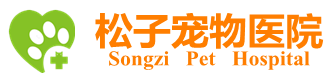 杭州24小时宠物医院-宠物医生-杭州松子宠物诊所