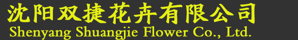 沈阳绿植租赁_沈阳花卉租赁_沈阳花卉租摆 找【沈阳双捷花卉有限公司】