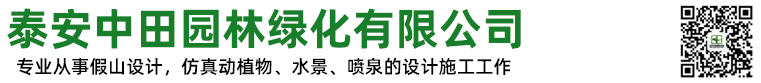 泰安专业庭院设计|泰安假山施工|泰安鱼池净化|泰安鱼池过滤-泰安中田园林【官网】