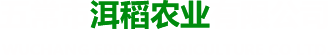 五常优质大米_东北大米_东北大米加盟-五常市洱稻农业有限公司