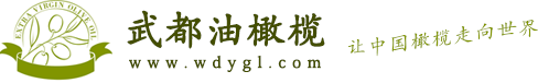 陇南-武都油橄榄网