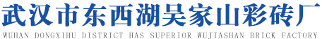 武汉彩砖厂|武汉步行砖|武汉植草砖|武汉通体砖|武汉拉丝砖|武汉透水砖|东西湖吴家山彩砖厂