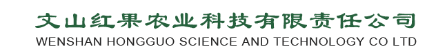 文山红果农业科技有限责任公司｜红果农业｜红果葡萄｜葡萄销售｜紫葡萄-文山红果农业科技有限责任公司|红果农业|葡萄批发零售