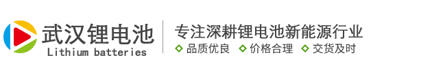 武汉锂电池_铁锂代替铅酸电池_锂离子电池_磷酸铁锂电池_锂电池维修服务公司