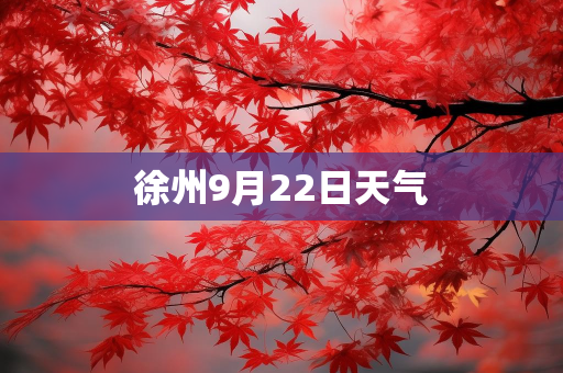 天气报告