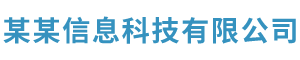 某某信息科技有限公司