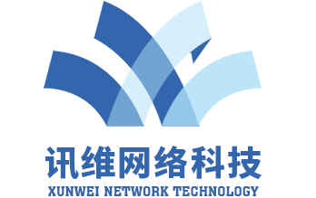 广州讯维网络科技公司首页-抖音信息流广告,网站SEO优化「高转化」