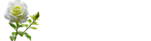 花趣天地-缤纷花卉，精心养护的多彩世界