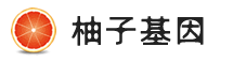 DNA亲子鉴定中心_DNA基因检测_价格费用透明-柚子基因