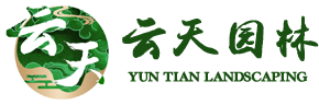 星空真人·(中国APP)官方网站
