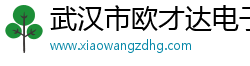 武汉市欧才达电子商务有限公司